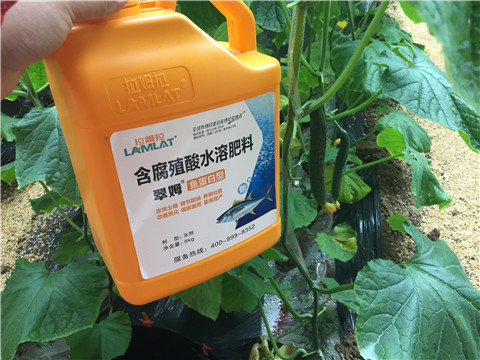 滴灌肥，拉姆拉，翠姆