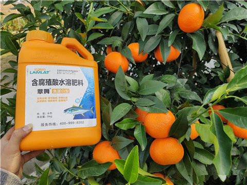 滴灌肥，拉姆拉，翠姆