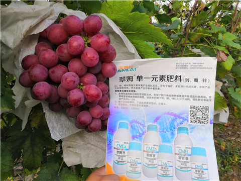 水溶肥，鈣肥，硼肥