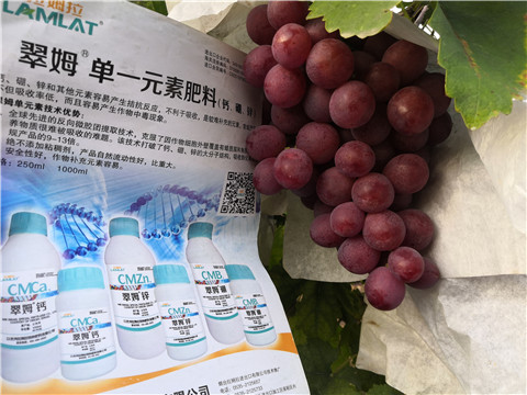 水溶肥，鈣肥，硼肥