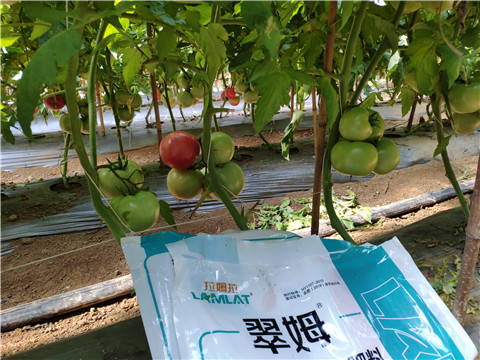 水溶肥，
