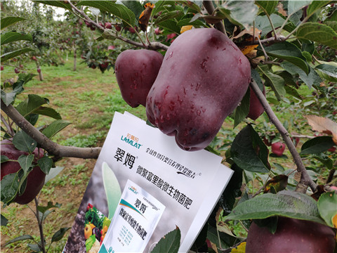 微生物菌劑，