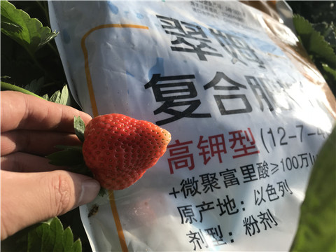 水溶，拉姆拉，翠姆