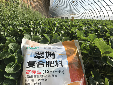 水溶，拉姆拉，翠姆
