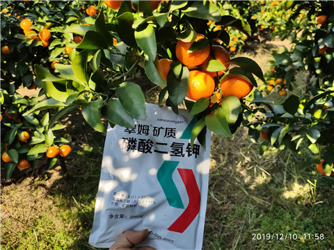 水溶肥，磷酸二氫鉀