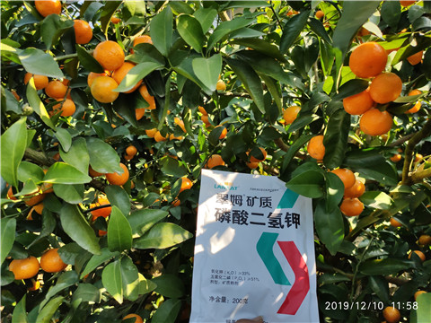 水溶肥，磷酸二氫鉀