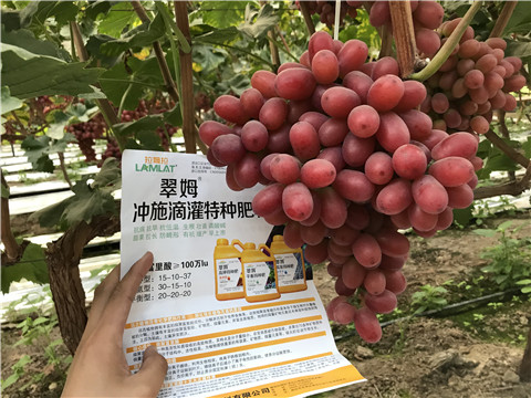 沖施肥，拉姆拉