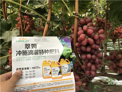 沖施肥，拉姆拉