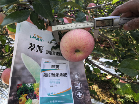 水溶肥，磷酸二氫鉀，微生物菌劑