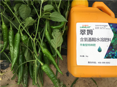 根碧多，微生物菌，葉面肥