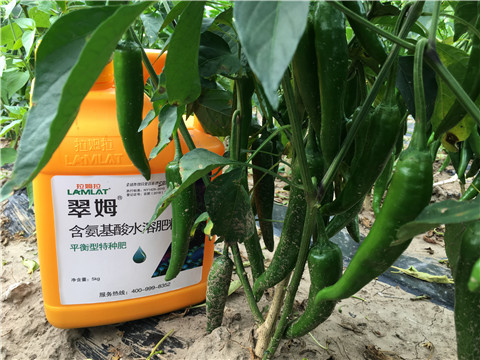 根碧多，微生物菌，葉面肥