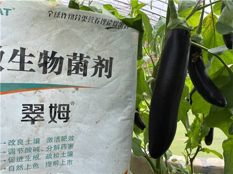 微生物菌劑，拉姆拉