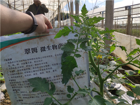 微生物菌劑 ，拉姆拉翠姆