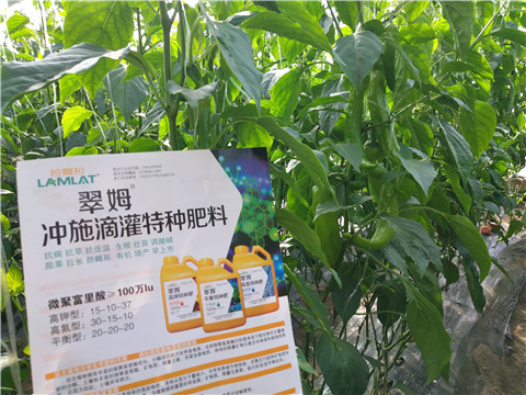 水溶肥，拉姆拉