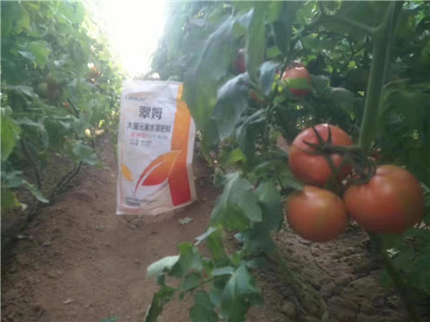 大量元素水溶肥，拉姆拉 