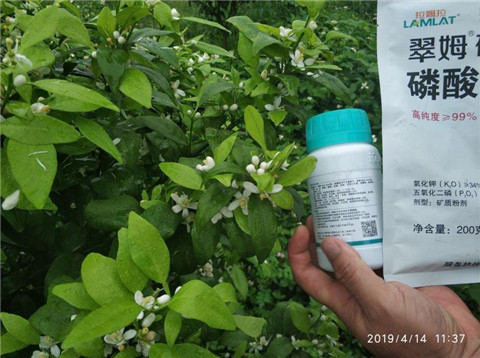 水溶肥，根碧多