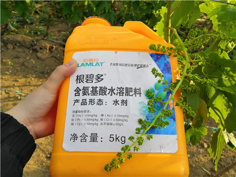 生根劑，微生物菌劑