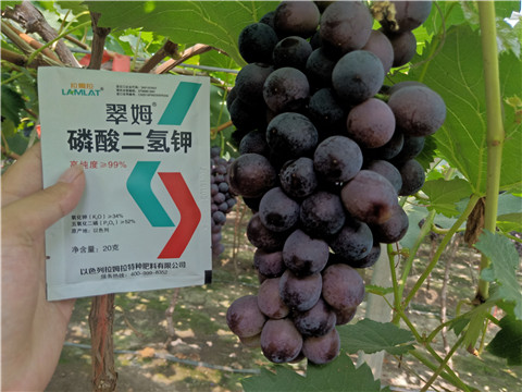 磷酸二氫鉀，葉面肥