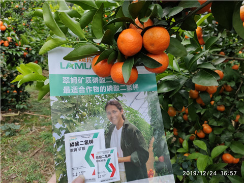 磷酸二氫鉀，鈣肥，硼肥