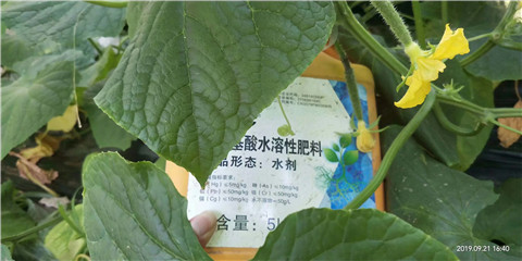 水溶肥，翠姆