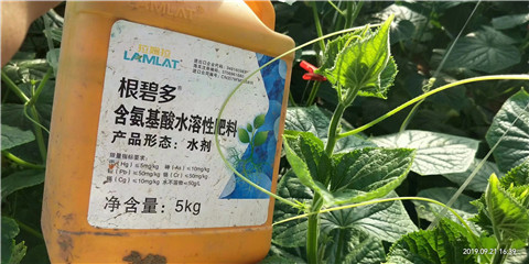 水溶肥，翠姆