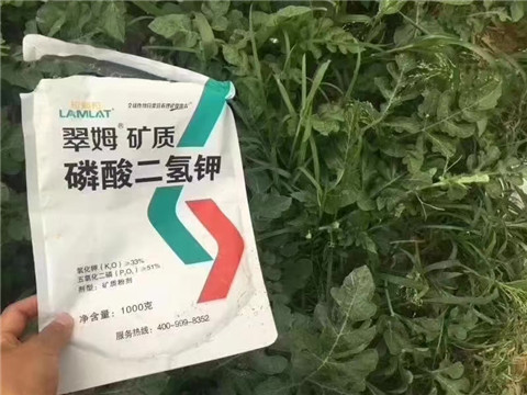磷酸二氫鉀，硼肥，沖施肥