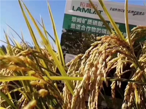 磷酸二氫鉀，翠姆