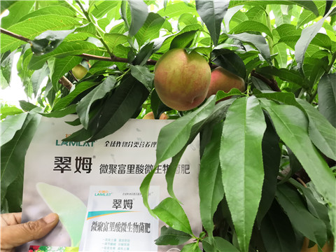 根碧多，微生物菌劑
