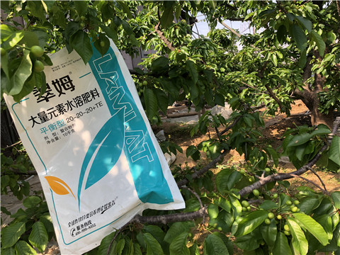 大量元素水溶肥，磷酸二氫鉀，硼肥