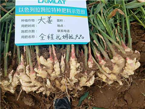 水溶肥，微生物菌劑，拉姆拉