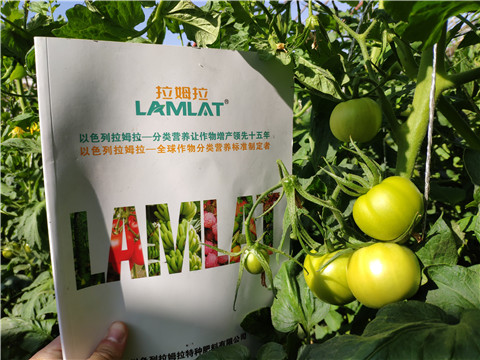 微生物菌劑，拉姆拉，伯示麥