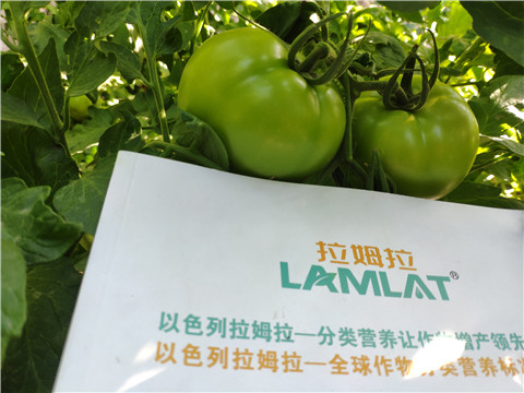 微生物菌劑，拉姆拉，伯示麥