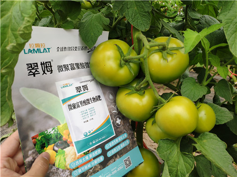 葉面肥，微生物菌劑，磷酸二氫鉀