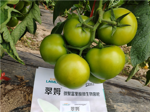 葉面肥，微生物菌劑，磷酸二氫鉀