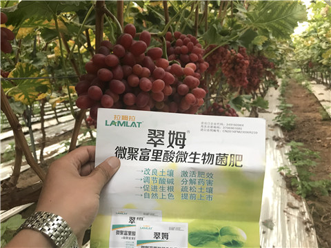 微生物菌劑，硼肥，鈣肥