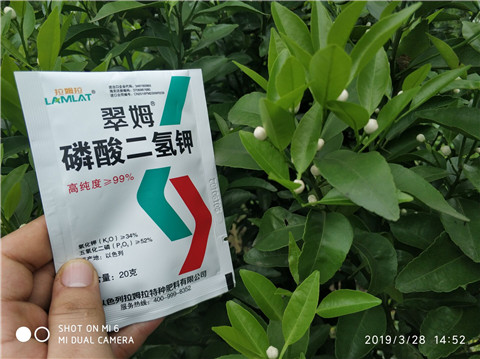 磷酸二氫鉀，硼肥，拉姆拉