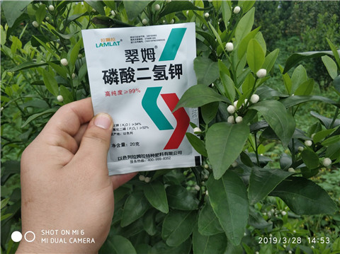 磷酸二氫鉀，硼肥，拉姆拉