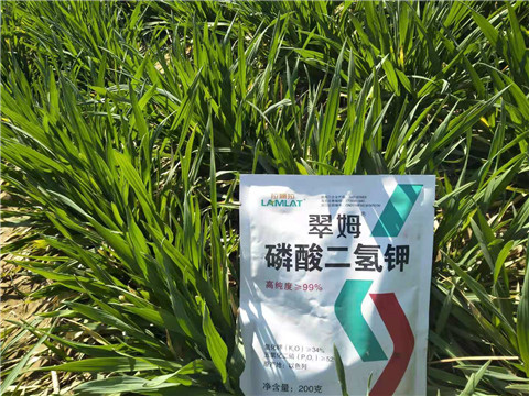 磷酸二氫鉀，葉面肥，拉姆拉