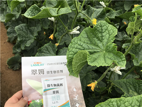 微生物菌劑，水溶肥，拉姆拉