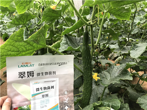 微生物菌劑，水溶肥，拉姆拉