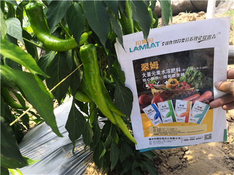 微生物菌劑，復(fù)合肥料，拉姆拉