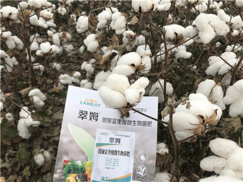 微生物菌劑，根碧多，拉姆拉