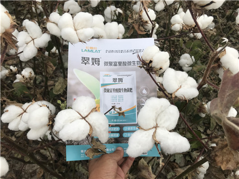 微生物菌劑，根碧多，拉姆拉