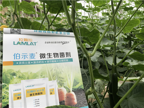 微生物菌劑，生根劑，拉姆拉