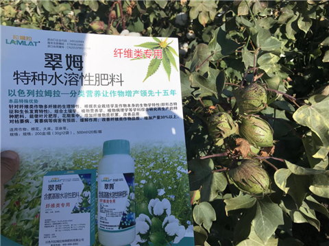 葉面肥，拉姆拉