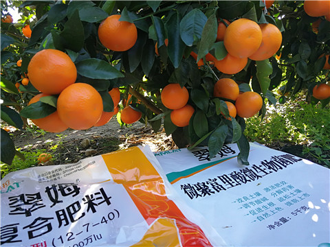 水溶肥，拉姆拉