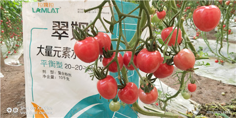 水溶肥，翠姆，拉姆拉