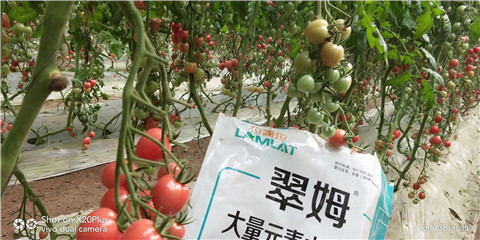 水溶肥，翠姆，拉姆拉