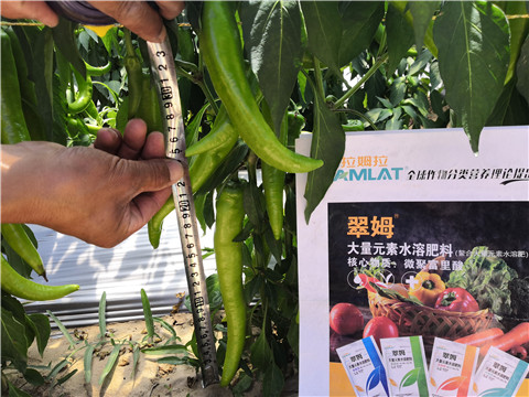 復(fù)合肥料，拉姆拉