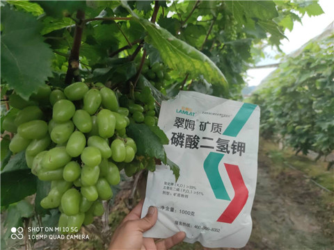 磷酸二氫鉀，拉姆拉